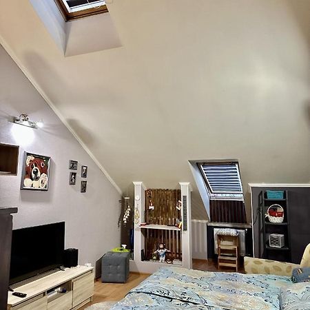 Schitterend Appartement In Het Centrum Van Amsterdam Ngoại thất bức ảnh